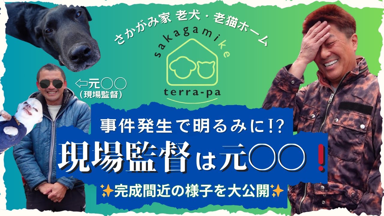 【さかがみ家老犬・老猫ホーム】事件発生で明るみに！？現場監督は元〇〇！〜完成間近の様子を大公開✨〜
