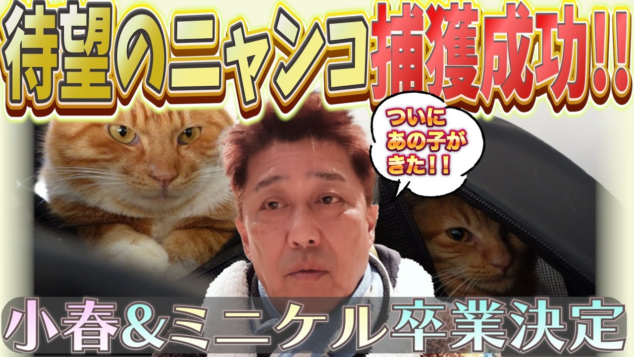 PNM保護活動 第三弾ラストスパート！あと3日…まだ保護できない!? パパのラストチャンス