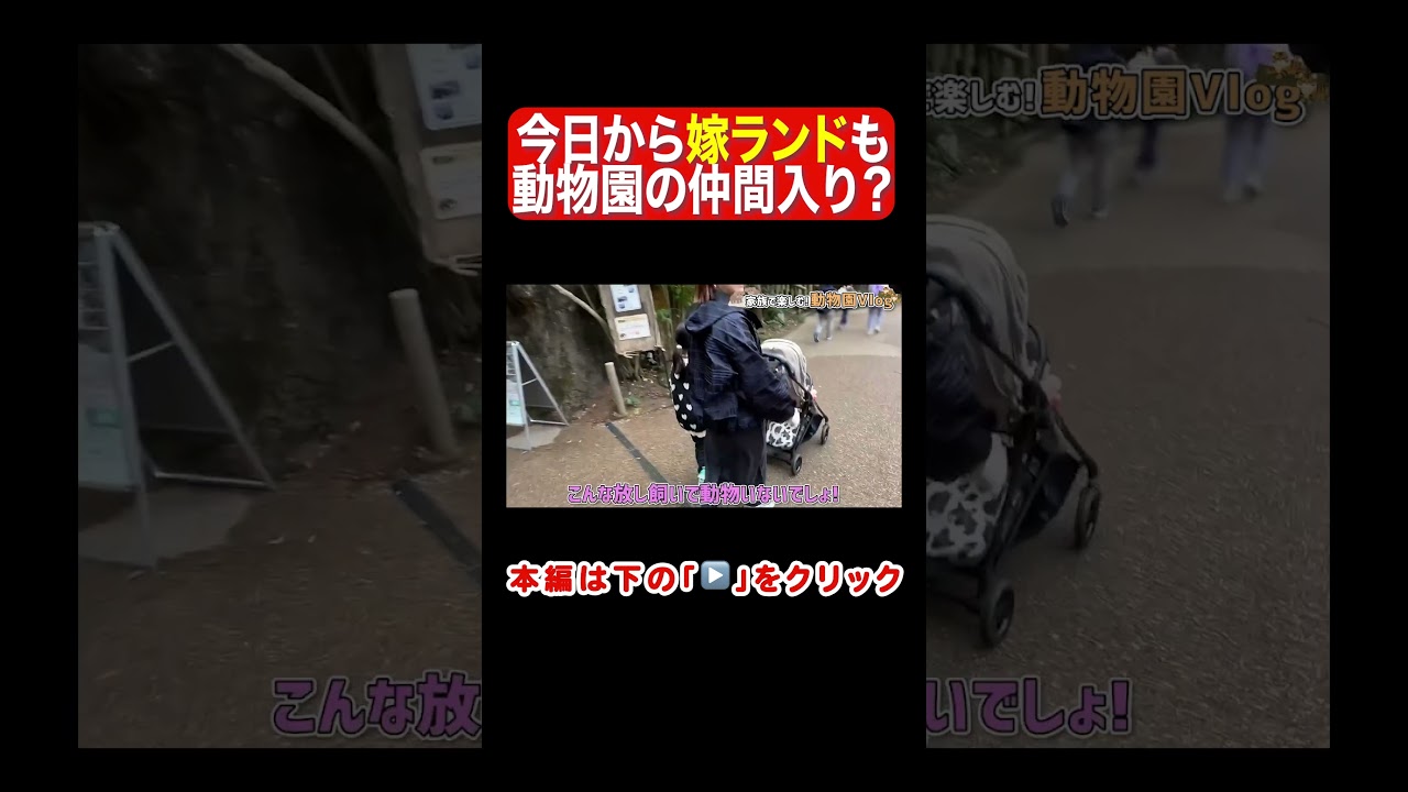 妻が動物園の仲間入り！？