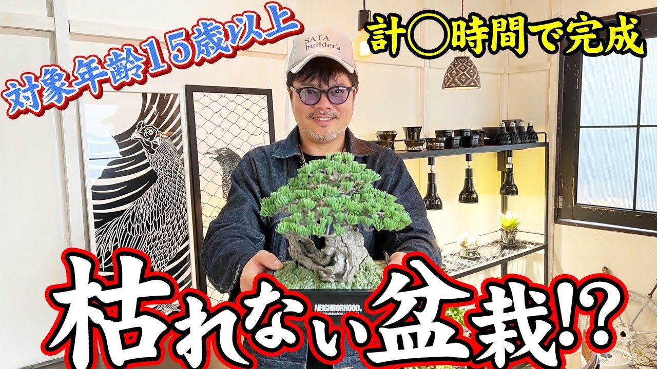 綺麗な枝してるだろ。うそみたいだろ。プラモなんだぜ。