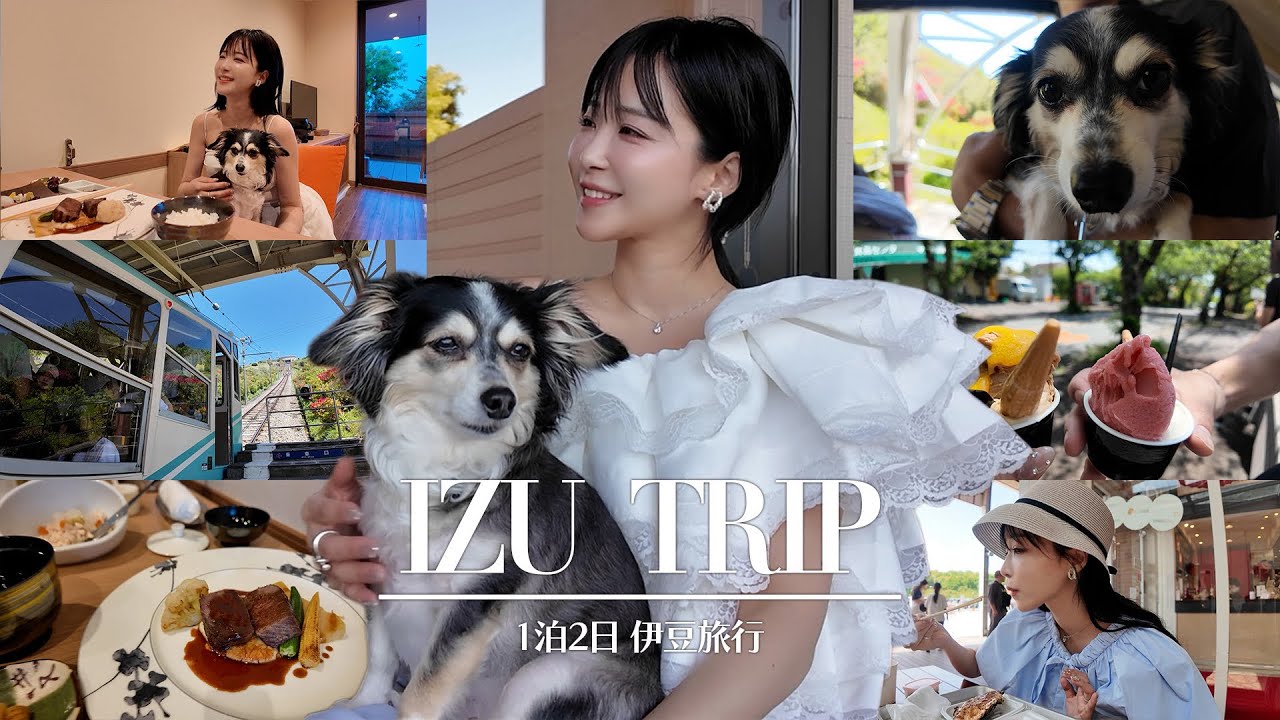 【Vlog】初公開♡夫婦で１泊２日の伊豆旅行