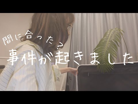 Webサイトで事件！深夜のパッキングで愚痴ります