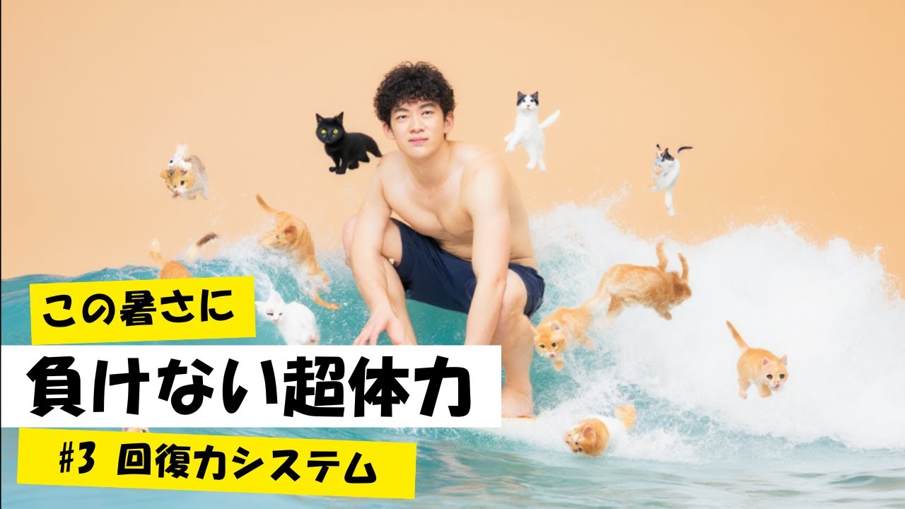 暑さに負けない超体力：第3部 「免疫・回復力システムを守れ」— 炎症・酸化ストレス抑制と深部体温降下