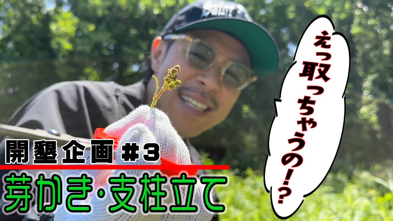 道のりはまだまだ遠い 開墾企画第三弾！断腸の思いで「芽かき作業」