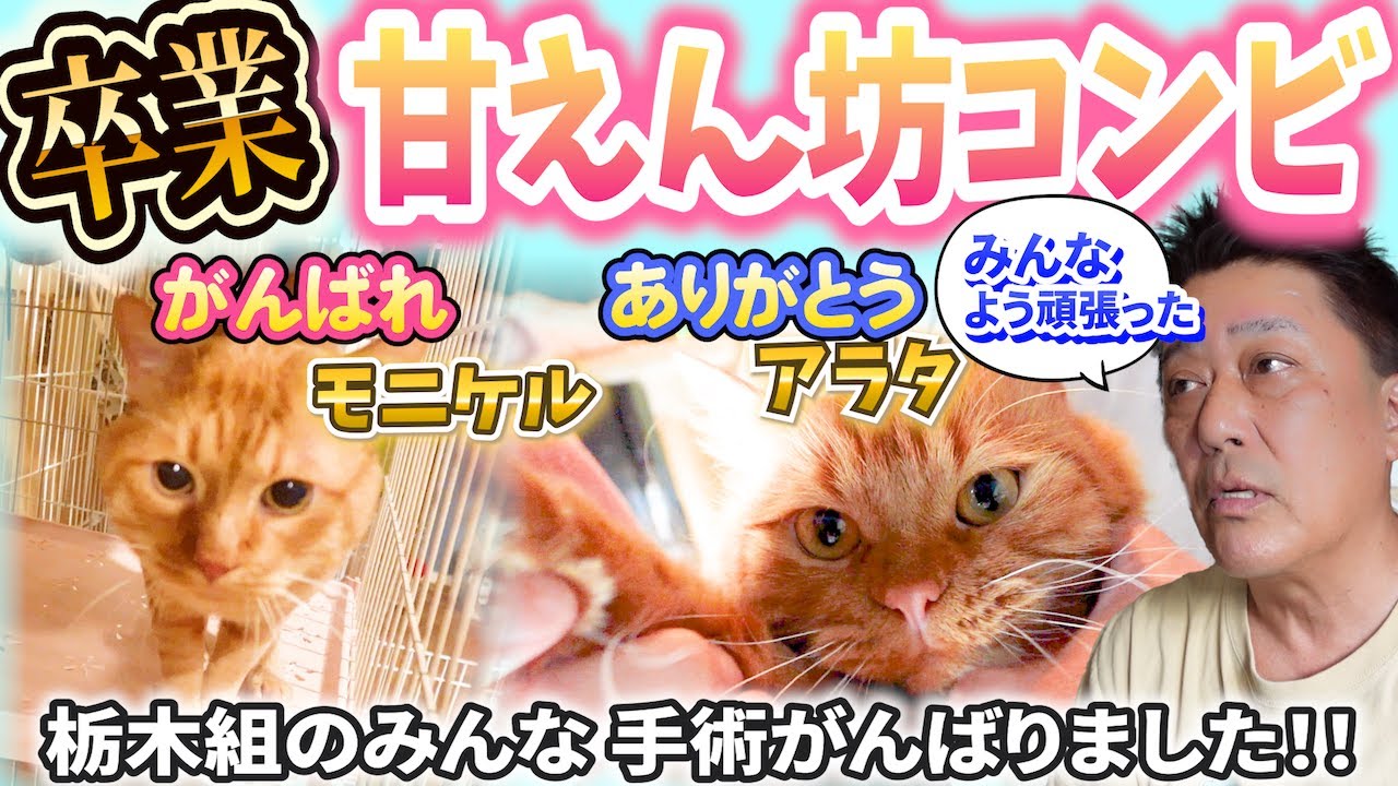 さかがみ家にお引越し！甘えん坊コンビの旅立ち