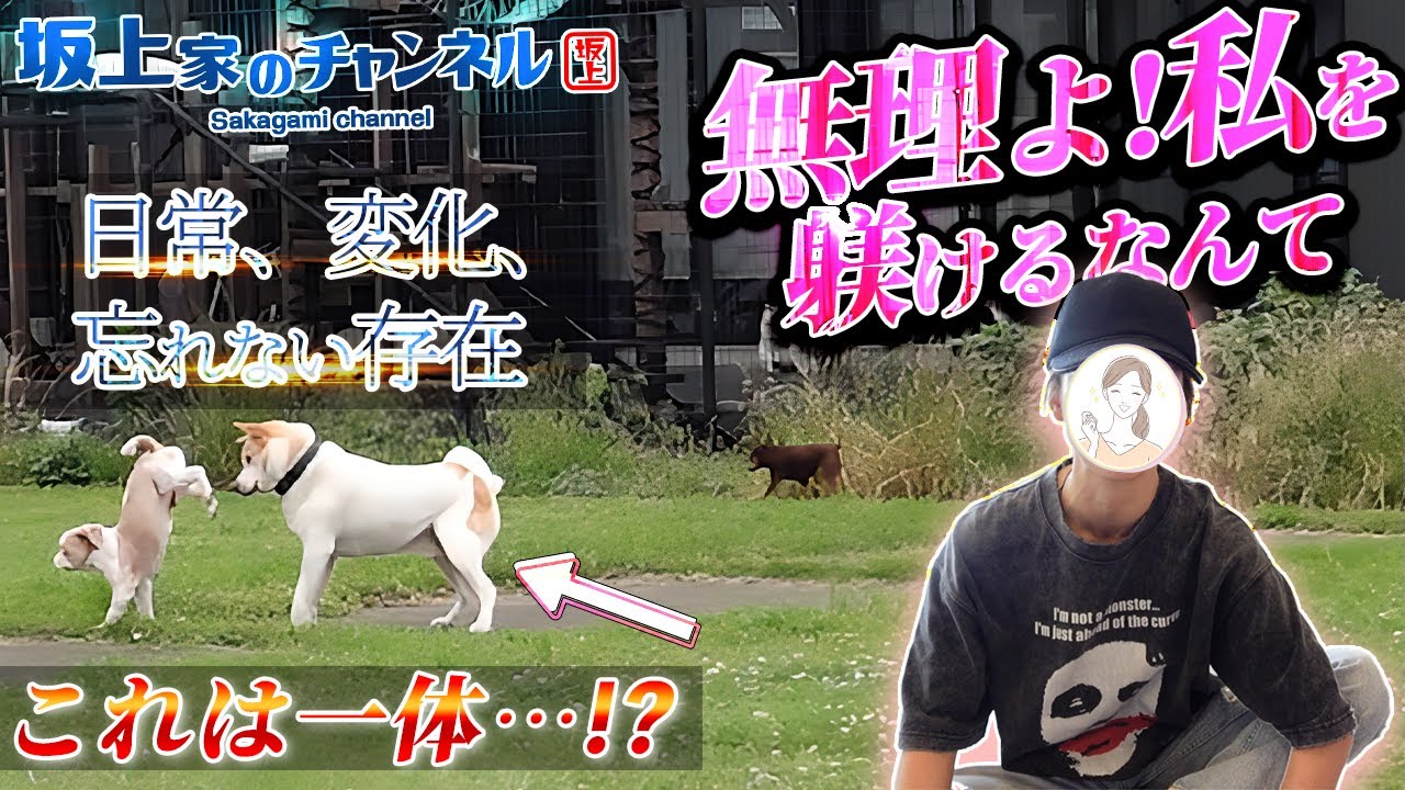 【無理よ！私を躾けるなんて】ママの言葉の真相──日常・変化・忘れない存在