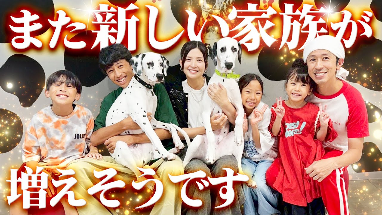 【涙が…】また新しい家族が増えそうです…