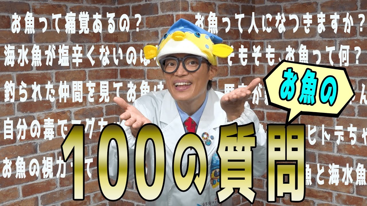 【お魚博士がお答え】視力がいいお魚は人間に○○する！？【質問募集中】