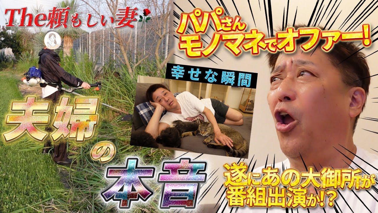 パパのモノマネがバズって番組オファー!? どうぶつ王国に大御所登場か!?【坂上夫婦の本音と赤裸々な日常】