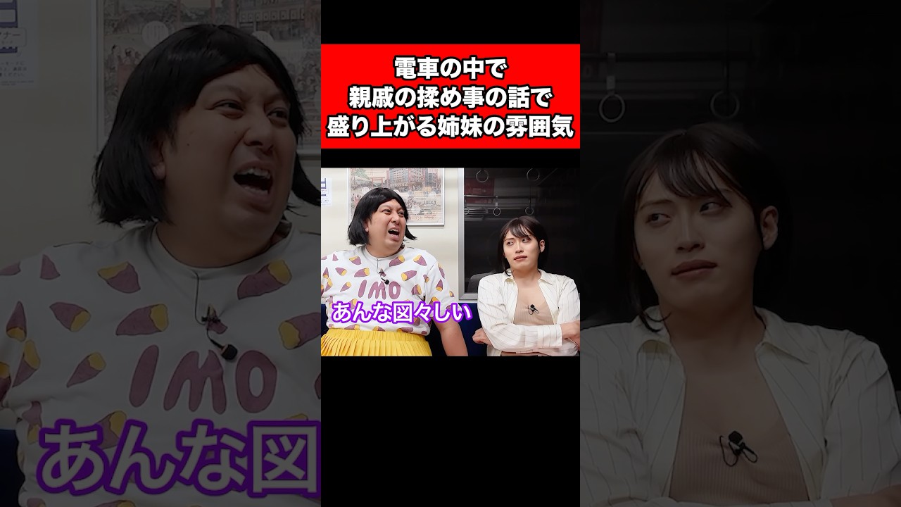 電車の中で親戚の揉め事の話で盛り上がる姉妹の雰囲気