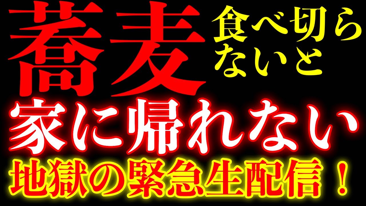 【夜もやるぞ！】頼む！家に帰してください。【MAX鈴木】