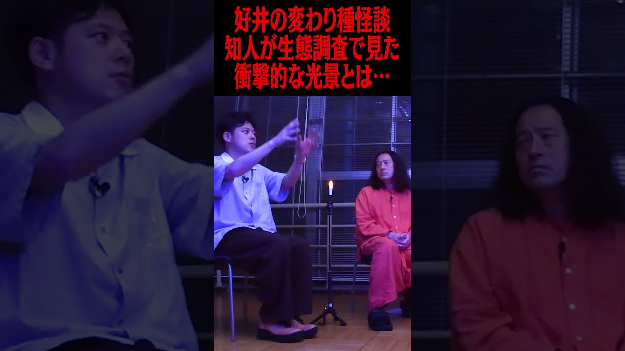 怪談を浴びる会・好井まさおの変わり種怪談！知人が行っていた生態調査で遭遇した急死に一生のシチュエーションとは… #ピース #ピース又吉 #好井まさお #怪談を浴びる会 #怪談 #怖い話