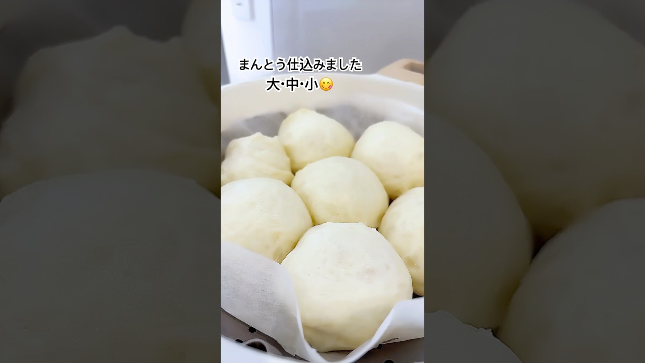 皆様こんばんは　　　　#shorts #マントウ #料理  #犬のいる生活 #手作りマントウ