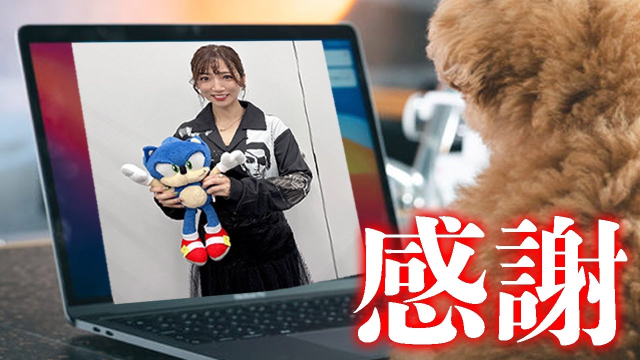 【雑談】また個人事業主になりました【退職】【感謝】