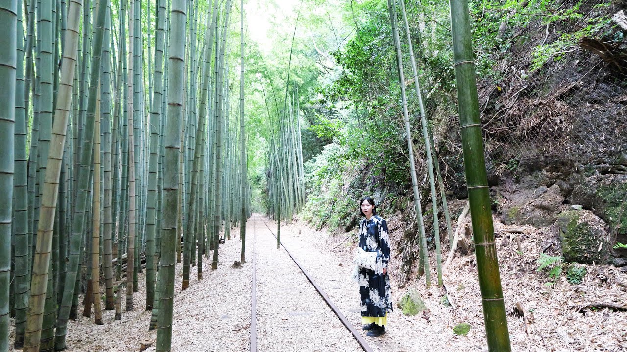 日本一美しい廃線跡 倉吉線を巡ってきた&鳥取砂丘🇯🇵