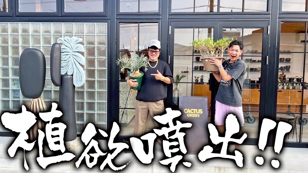 【前編】2周年を迎えたカクタスグリーンはやっぱり凄かった!?