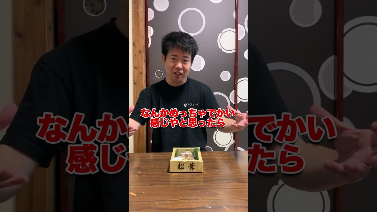 松茸 #岡田を追え