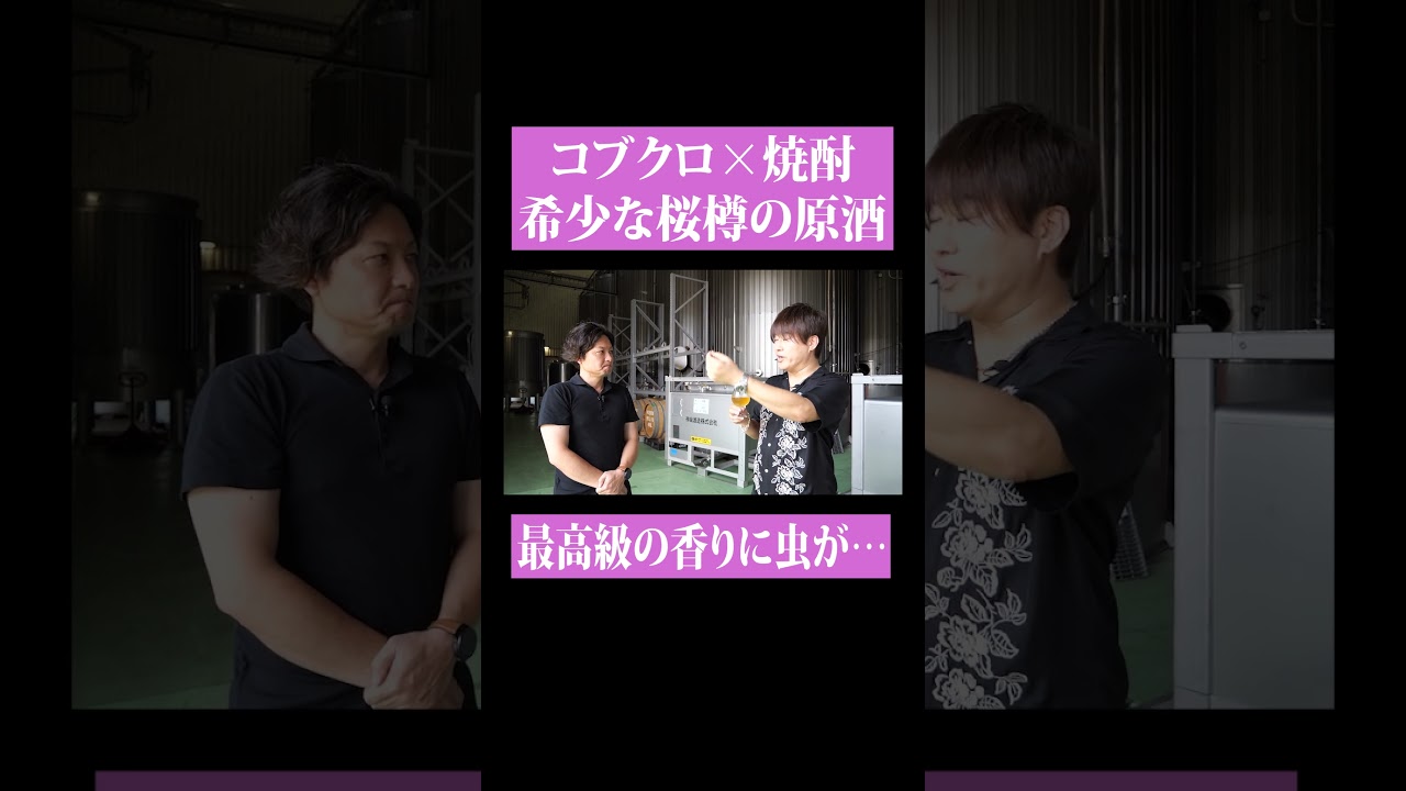 【第２０６回：小渕と黒田】 “桜樽の原酒”でコブクロオリジナル焼酎作ります！ 　#コブクロ
