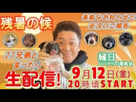 【生配信その②】配信の続きです！（左肩の怪我のお話の途中で配信が止まってしまいすみません）