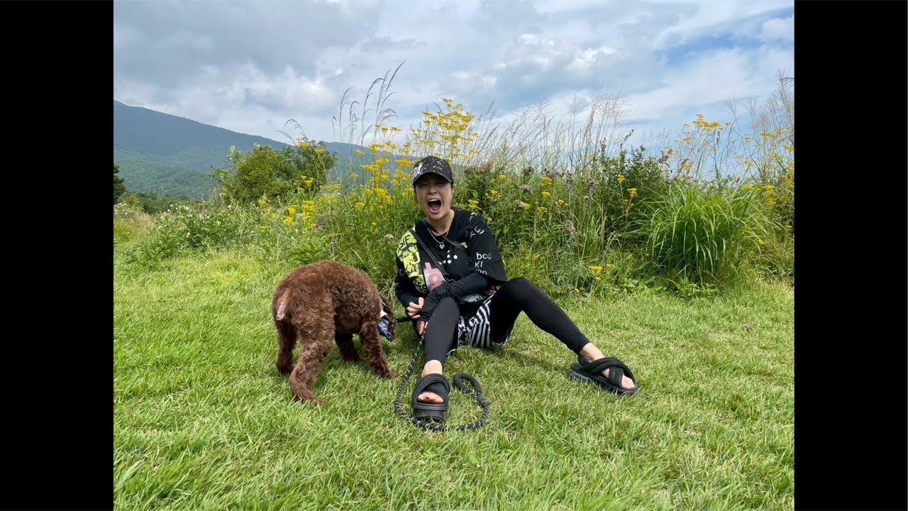 小向・雑談・生配信中！