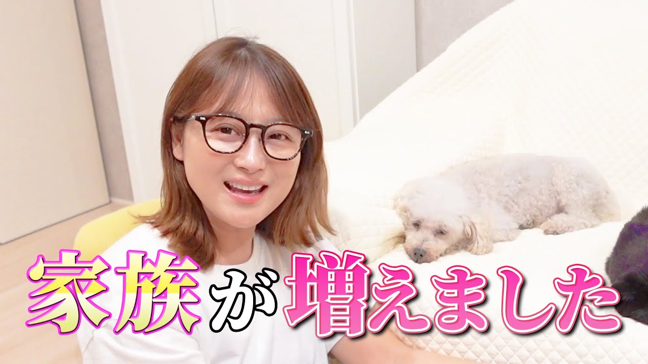【保護犬】鈴木奈々、家族が増えました！