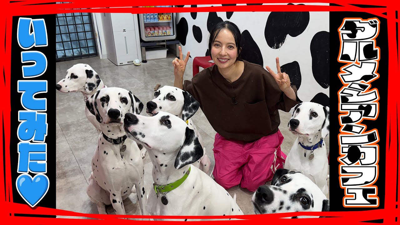 ダルメシアンカフェいってみた♡