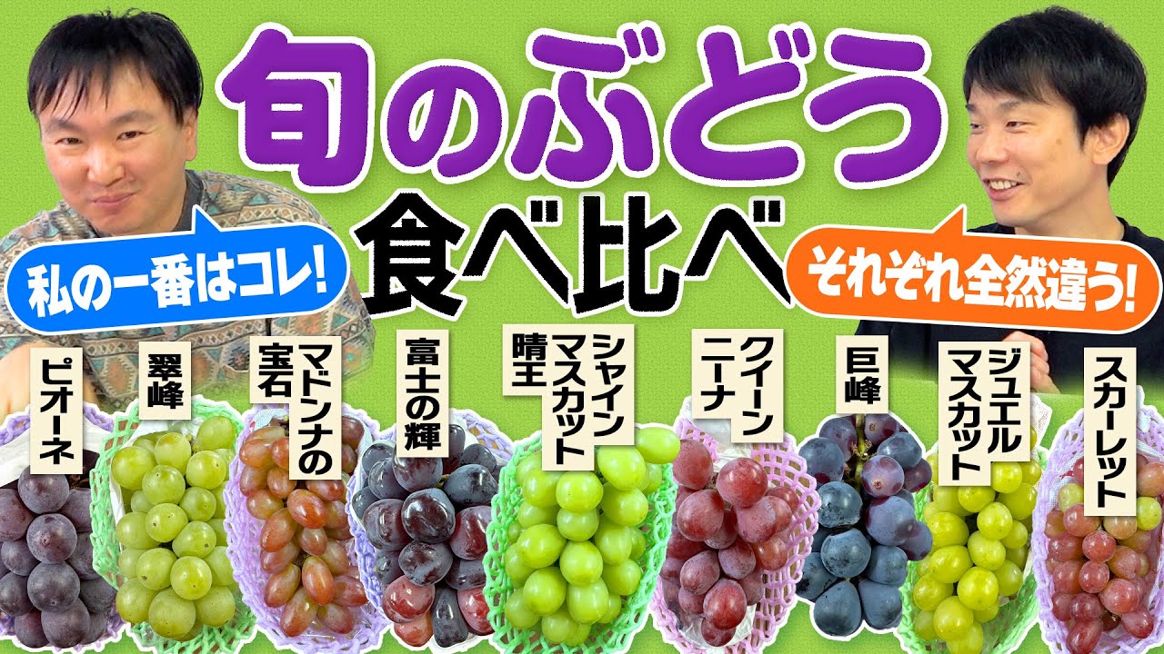 【ぶどう】かまいたちがシャインマスカット・巨峰など旬のぶどうを食べ比べてみた！