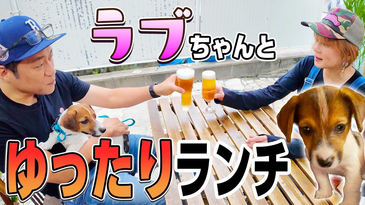 【ラブちゃんとテラスでランチ🐶🐾】犬好きが集まる元町商店街の名店CHICHOSで爆食！アド街ック天国で紹介された絶品ピザ最高🍴 #アド街ック天国 #リブロースステーキ #ジャックラッセルテリア