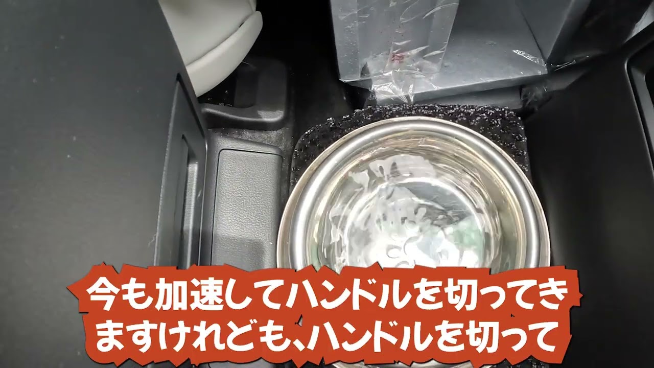 BEPAL DRIVE WITH DOG