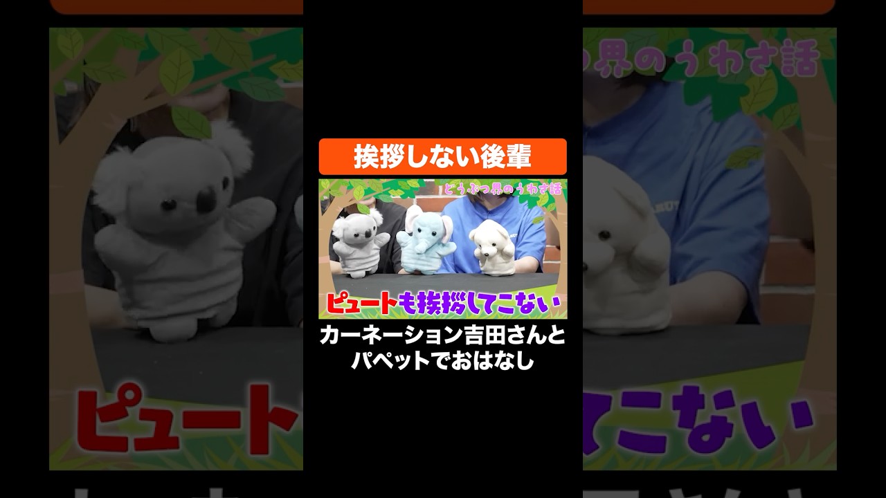 挨拶しない後輩 #Aマッソ #カーネーション