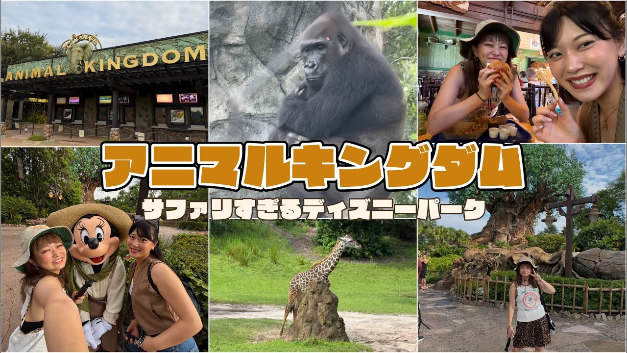WDW vlog🇺🇸｜動物園みたいなディズニー🐘🐅🦒