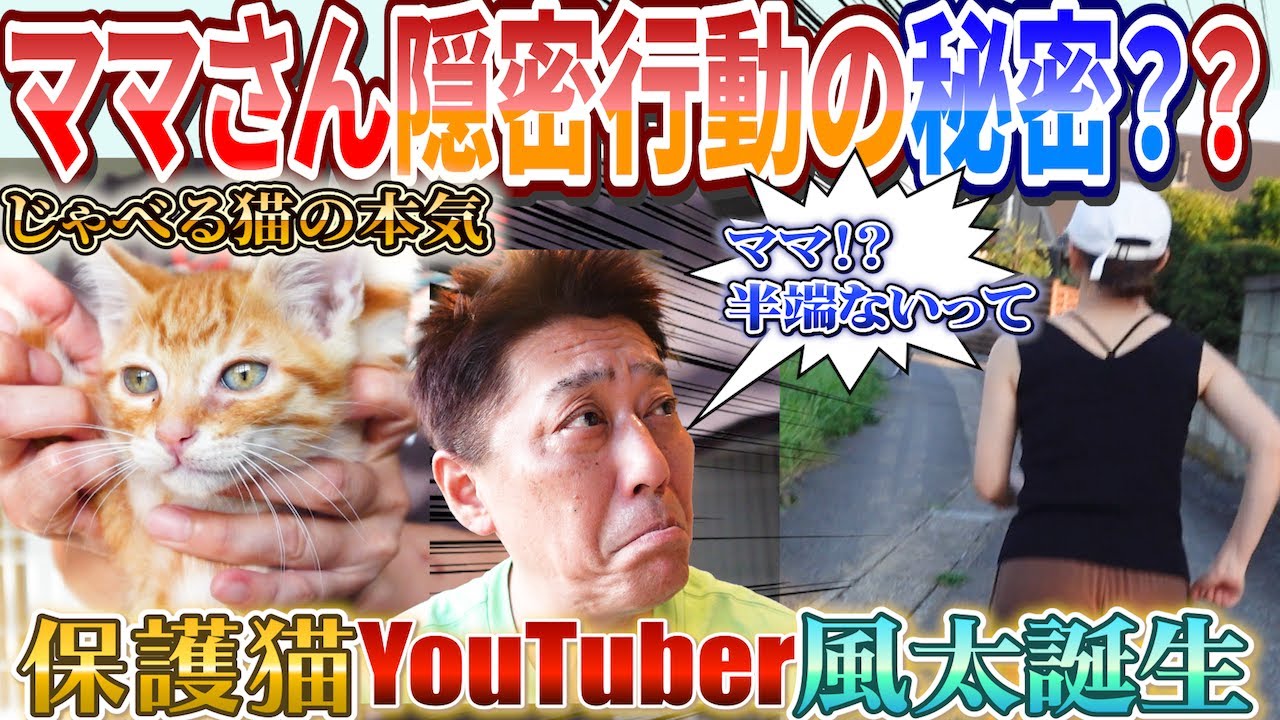 ママさんの隠密行動の理由とは？新たな保護物語が動き出す