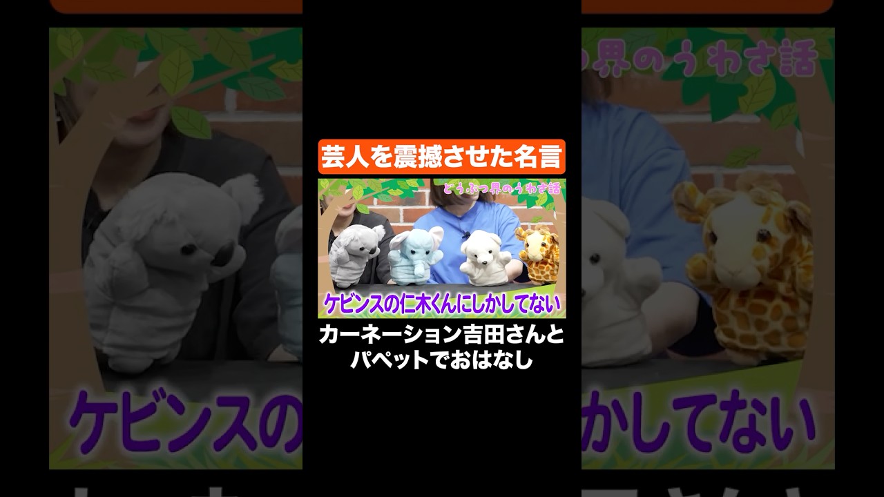 芸人を震撼させた名言 #Aマッソ #カーネーション #ケビンス #CITY