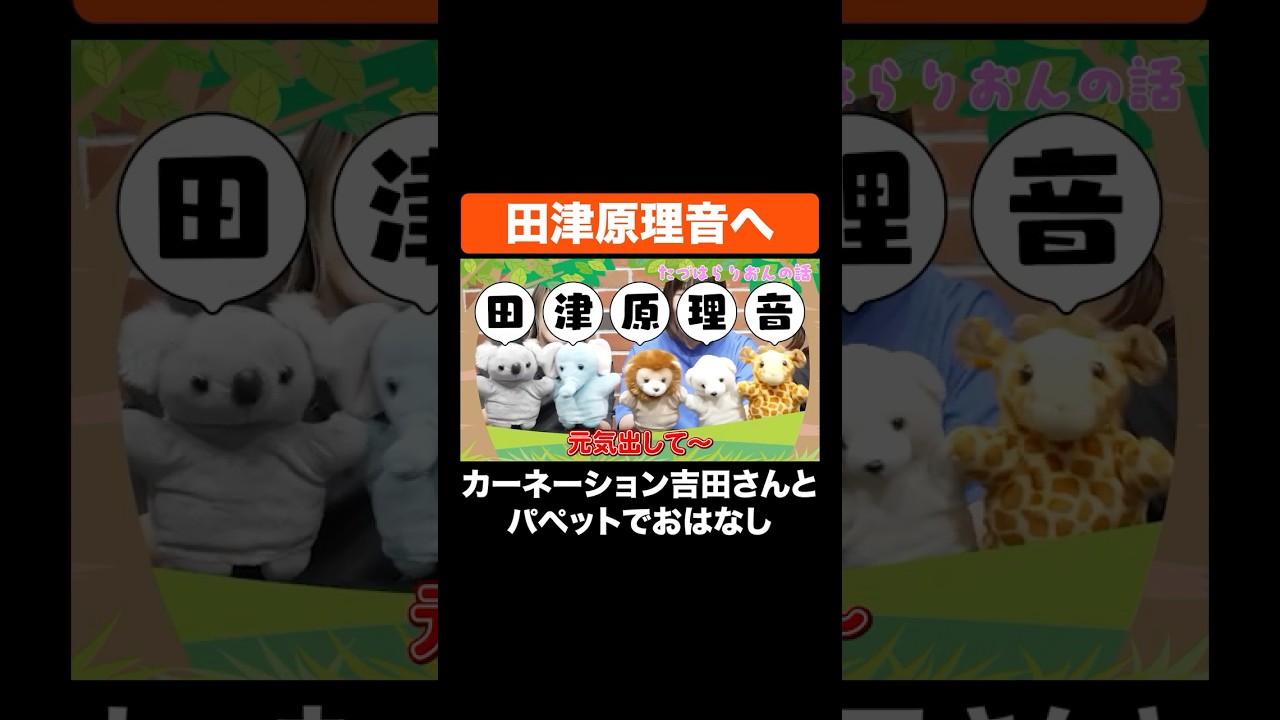 田津原理音へ #Aマッソ #カーネーション #田津原理音