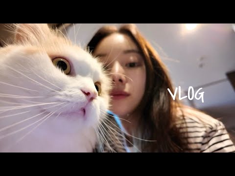 撮影前なのでお家引きこもり😌ご飯作ったり~ダラダラしたり~