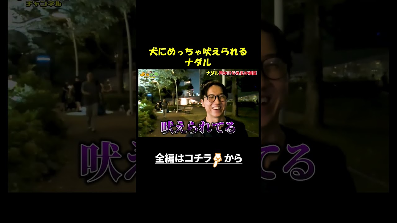 犬に危険を感じさせる人間、ナダル