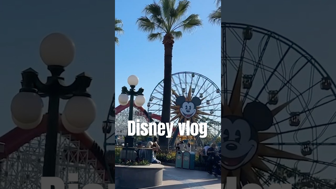 Disney in California 🎡🤍　#高橋ユウ#yutakahashi  #disney #california #ディズニー #カリフォルニアディズニー #子連れ旅行