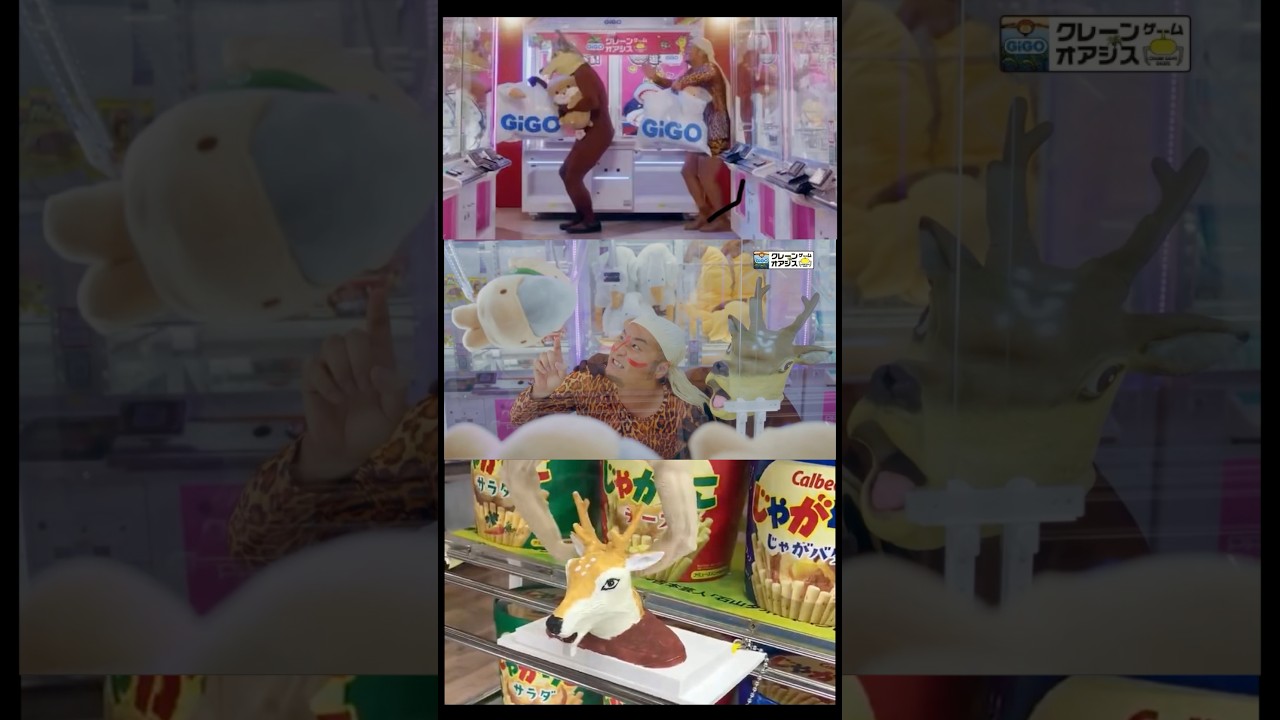 10月19日は稲毛のGIGOクレーンゲームオアシスに集合だ！！ #バンビーノ #ダンソン #gigo #PR