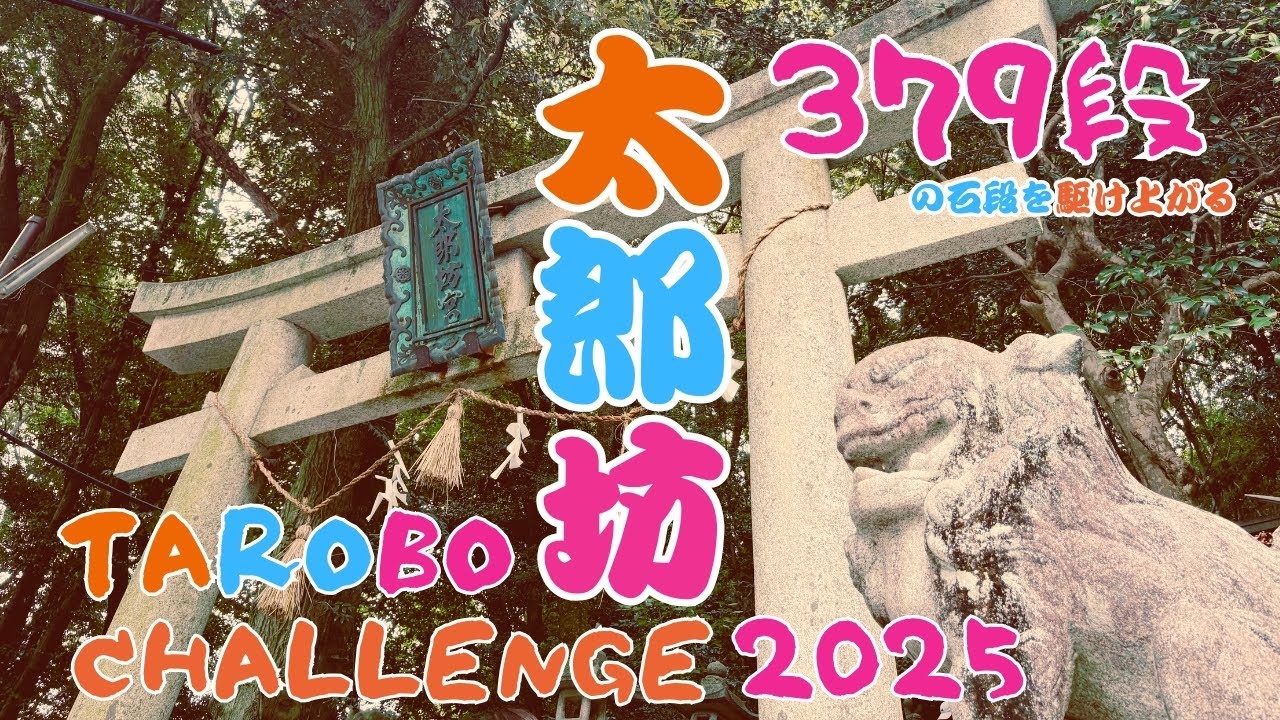 【太郎坊チャレンジ2025】379段の石段を駆け上がる。滋賀県東近江市太郎坊宮で行われた太郎坊チャレンジ！
