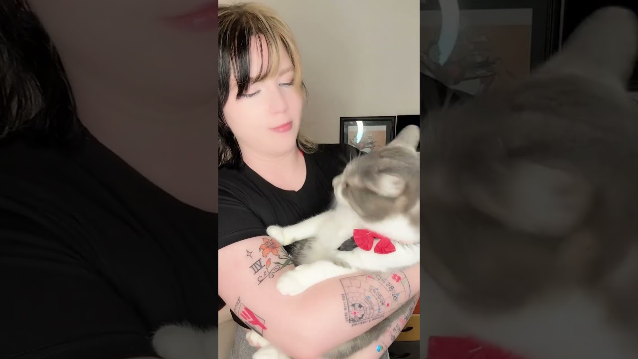 A real fan does what???