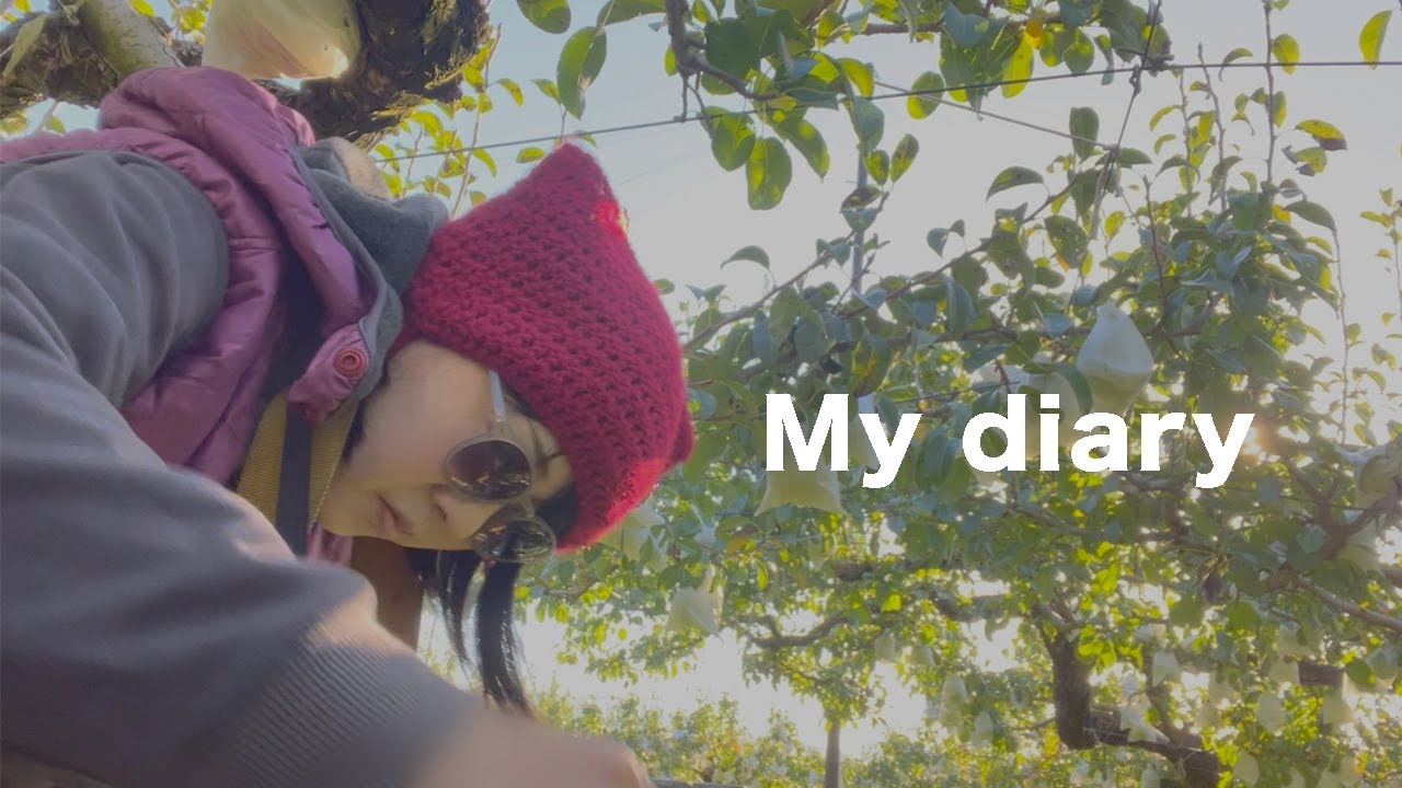 お手伝い日記2025年10月【日本エレキテル連合】【感電パラレル】【農園】【ルレクチェ】【長野県】【松川町】【マルス松尾農園】