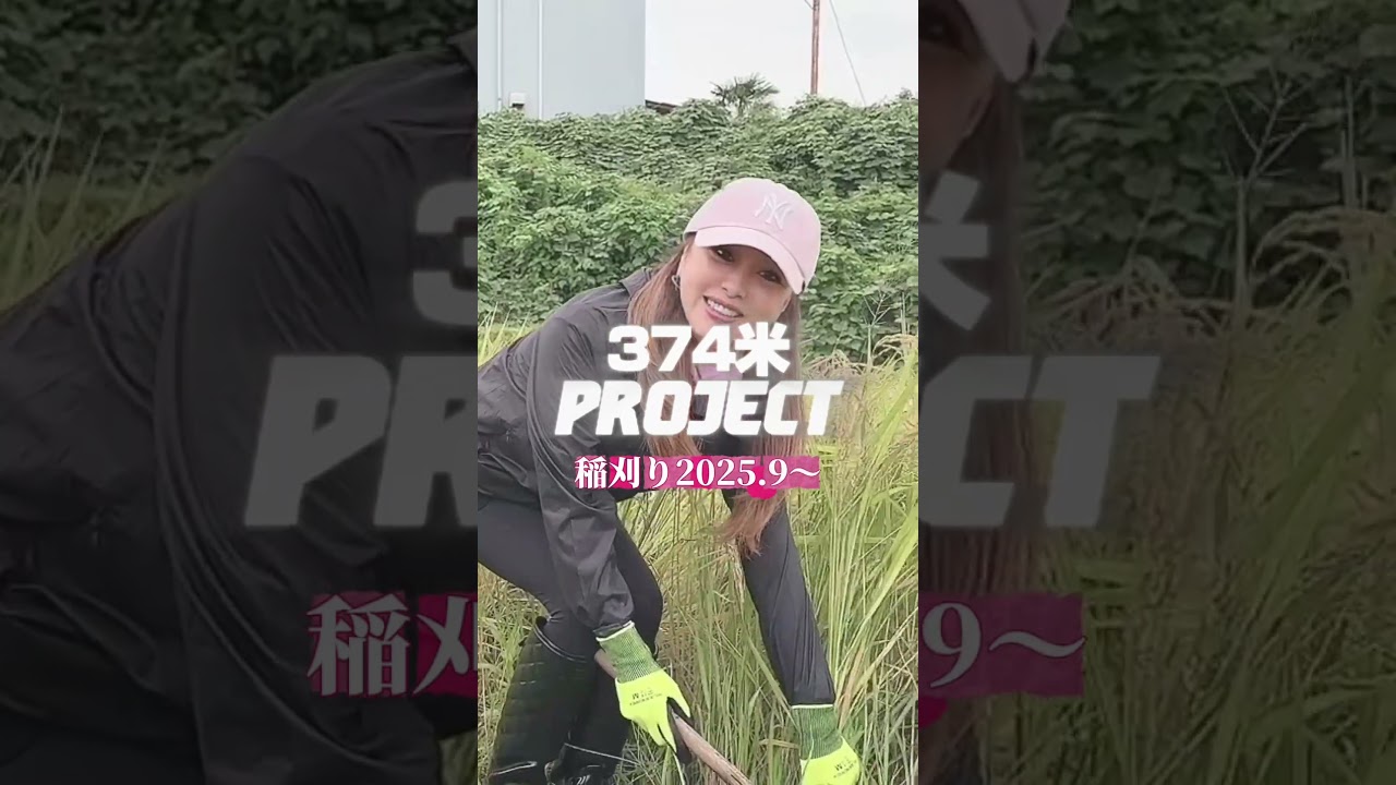 374米予約販売開始！ぜひご賞味くださいませ！