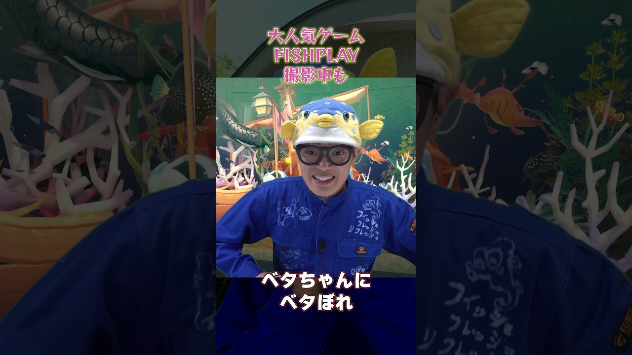 さかなクンがひとめぼれしたお魚ちゃんは！【FISHPLAY】#アクアリウム #さかなクンちゃんねる