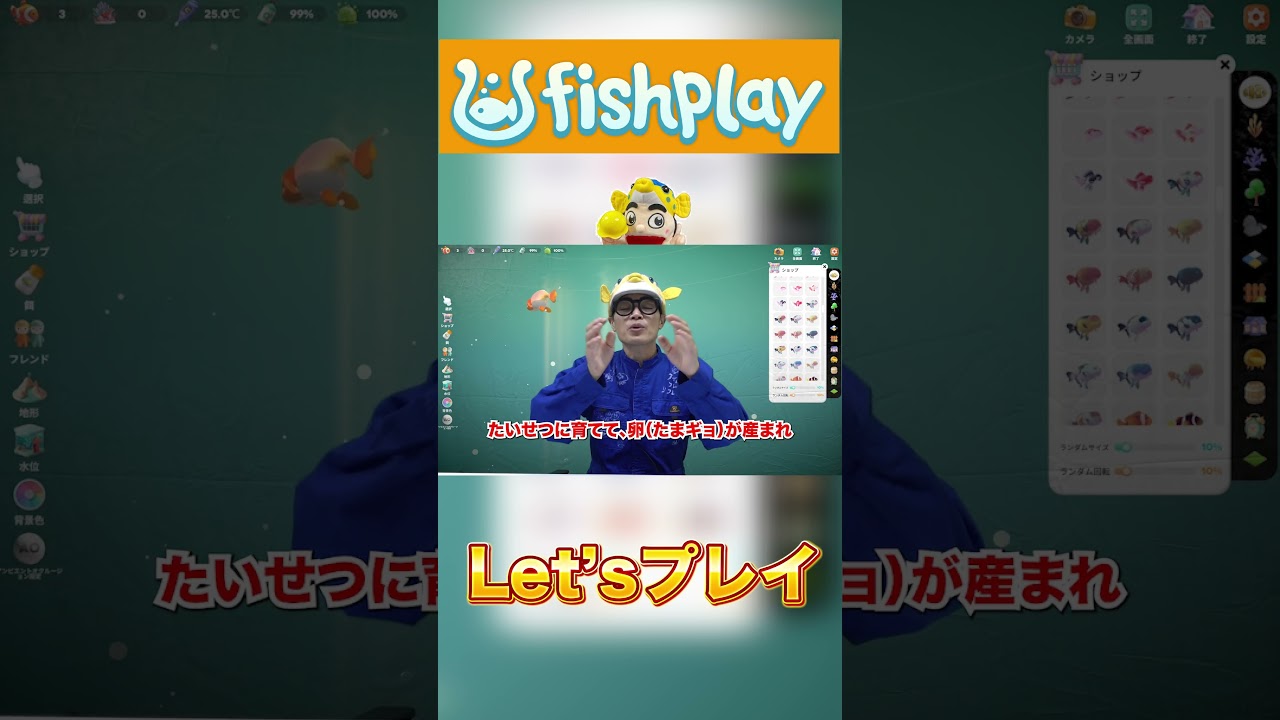 キンギョちゃんって実は！【FISHPLAY】 #アクアリウム #さかなクンちゃんねる