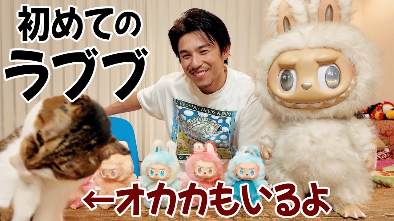 はじめましてラブブ。37歳、ラブブを知らない男の初めての開封