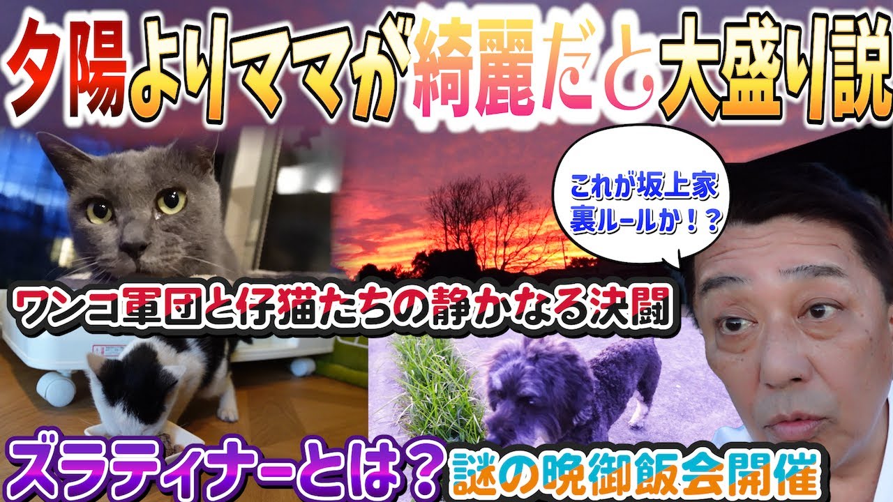 夕陽よりママさんが綺麗だと…ご飯が増える!? 坂上家の謎ルール発動！