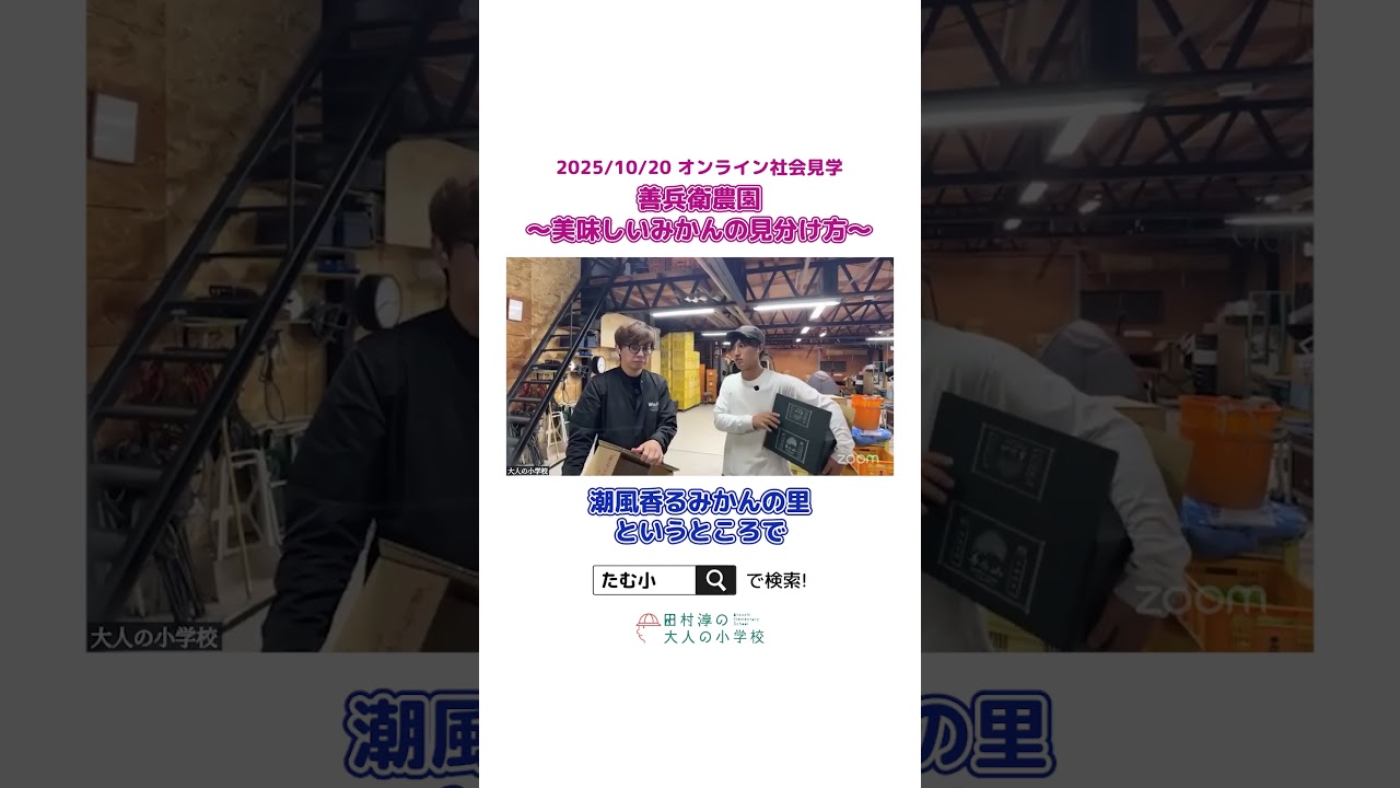 美味しいみかんの見分け方🍊in善兵衛農園【切り抜き】 #オンラインコミュニティ #大人の小学校