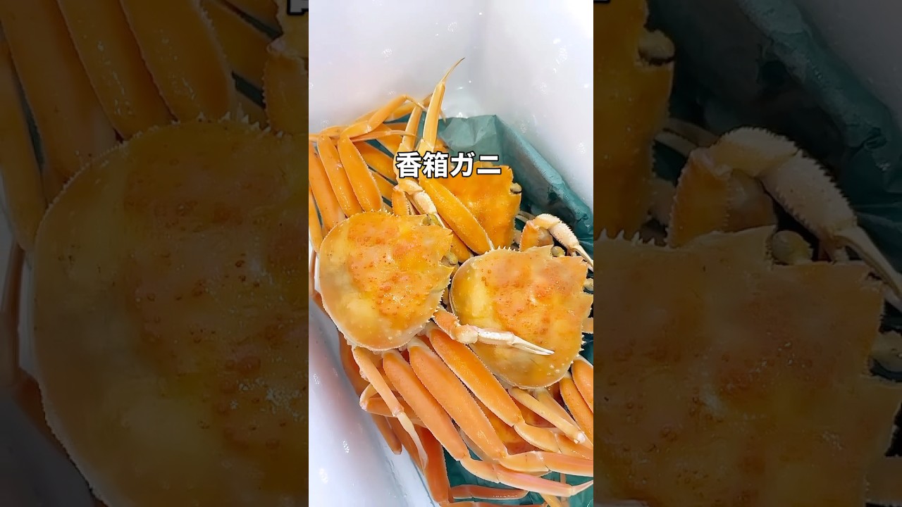 『能登里山空港』おいでおいで一緒に歌っている三輪さんから香箱ガニ🦀