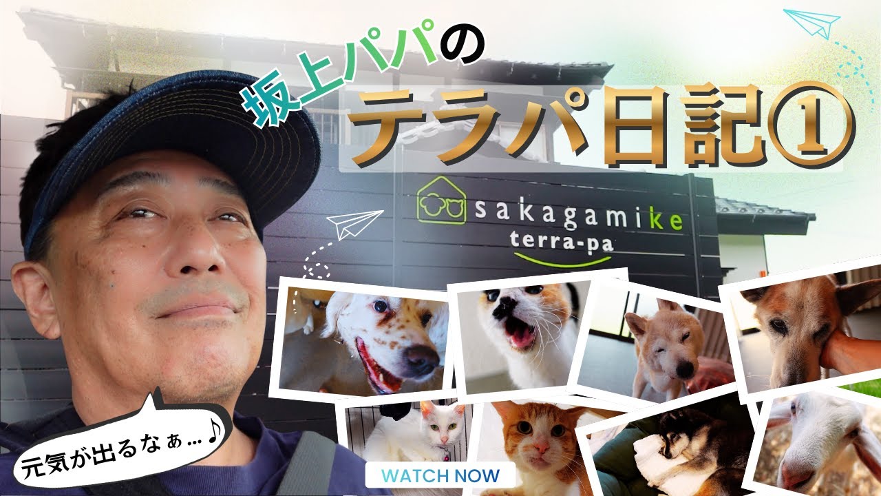 【元気が出る】坂上パパのテラパ日記①〜可愛すぎる老犬・老猫達の魅力をお届け♡〜