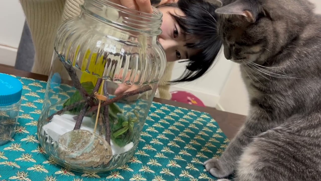 かまきりりゅうじ